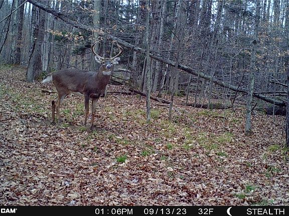 2nd image of 5132 County Route 25 N