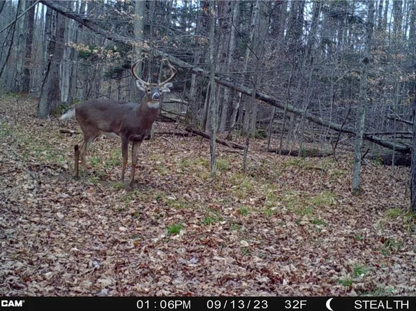 5132 County Route 25 N, Cameron Mills, NY 14820