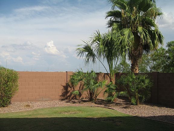 Private Back Yard