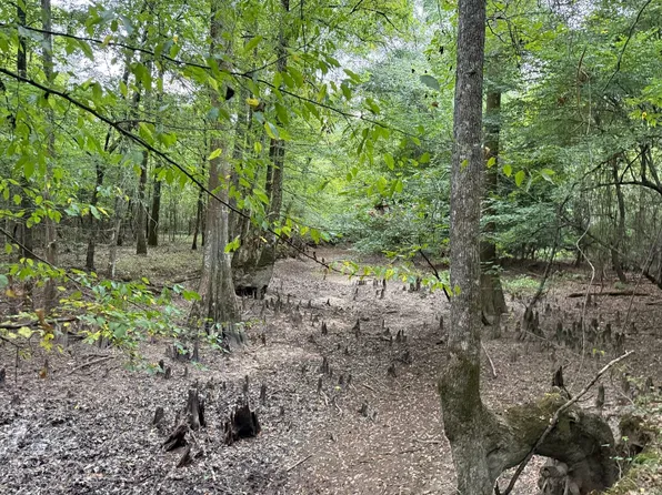 Hampton Ar Calhoun County, Hampton, AR 71744
