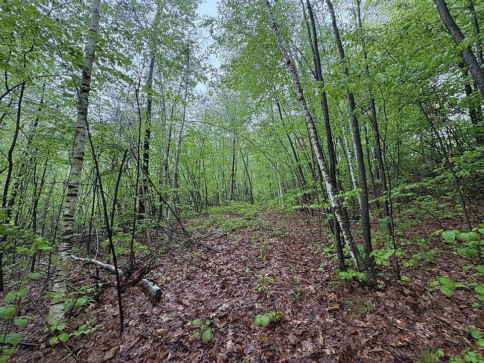 1st image of Lower Rd
