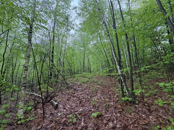 Lower Rd, Deerfield, MA 01342
