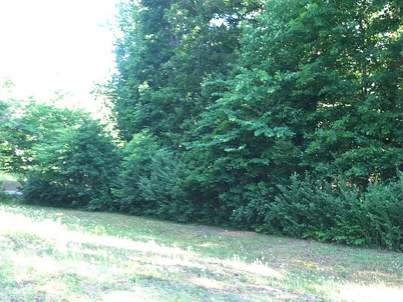 4th image of Lot 47 Catawba Cv #47