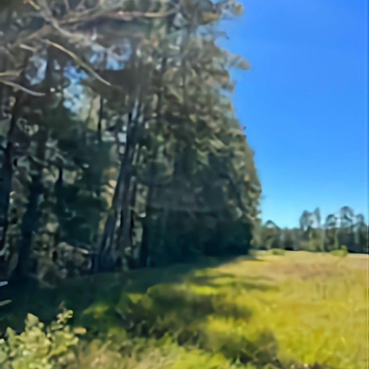 2nd image of County Road 893