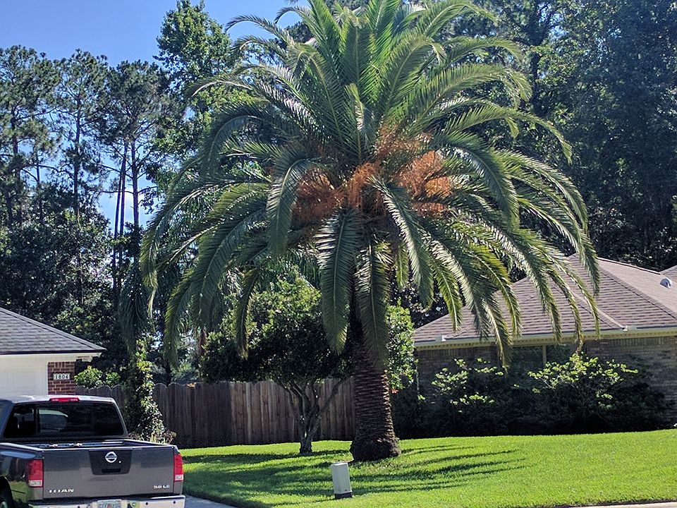 2nd image of 1804 Sternwheel Dr