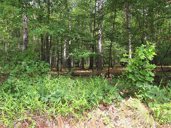 5th image of 2230 Grant 29 Rd