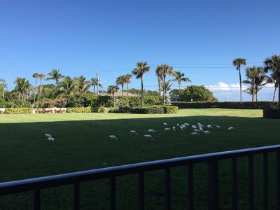 1300 S A1a APT 105, Jupiter, FL, 33477
