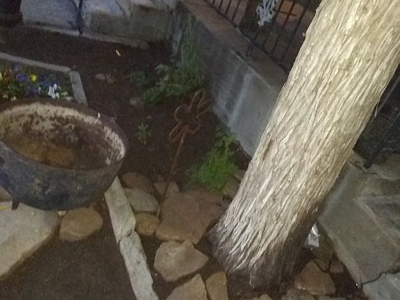 4th image of 623 N Faulkner St