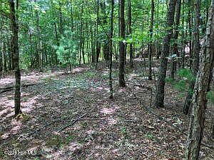 3rd image of LOT 11 Green Cove Cir