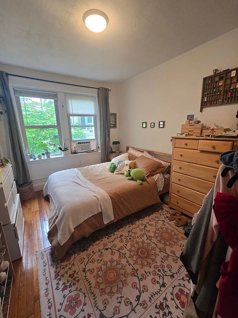 No Fee! Updated Apartment On Brookline Line Available 9/! — Photo 4