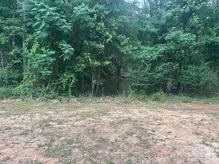4437 FM 698 — Photo 10