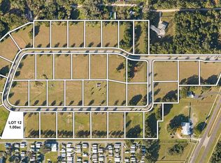 12 Hidden View Cir, Dade City, FL 33523