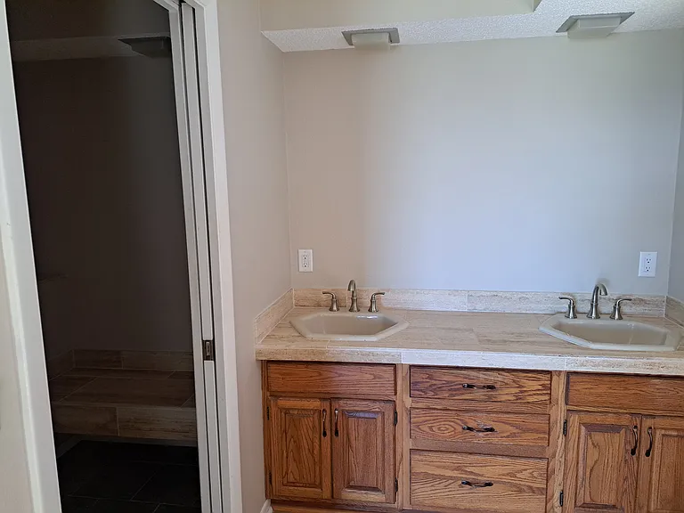 Double vanity area for primary ensuite bathroom