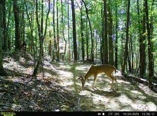 2691 Old Burnt Mountain Rd #301, Jasper, GA 30143