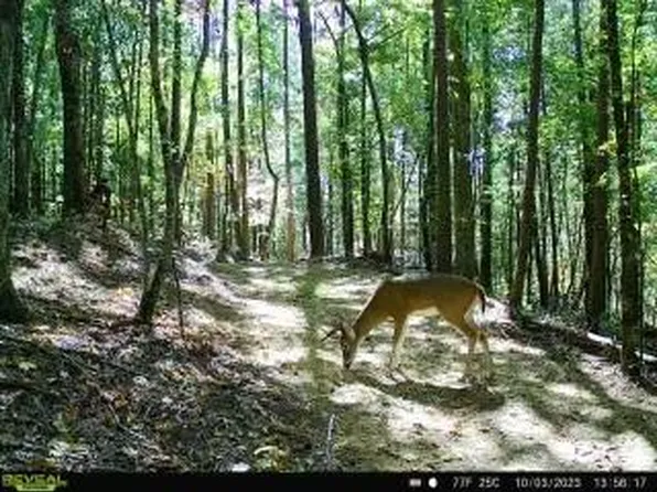 2691 Old Burnt Mountain Rd #301, Jasper, GA 30143