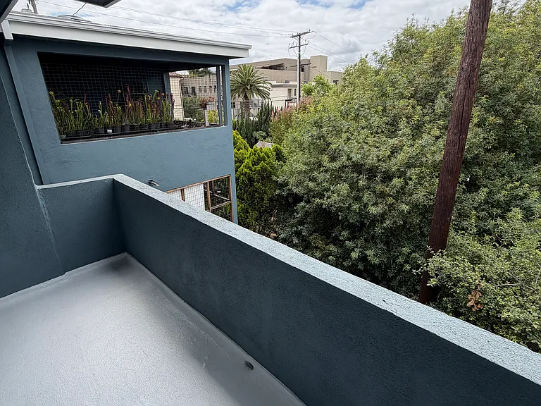 Orange Grove — Photo 14