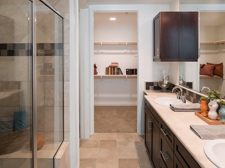Bathroom + Closet