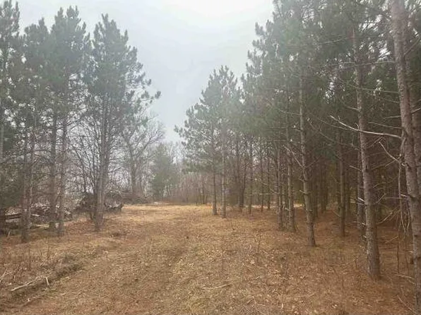 L22 Big Bay Rd, Necedah, WI 54646