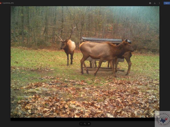 Summit Rd, Alpena, AR 72611