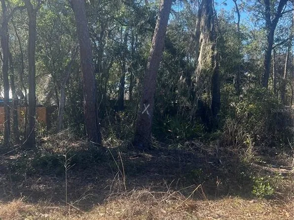 W 2nd Ave Lot 12, Umatilla, FL 32784