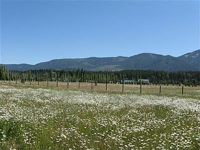 Wildflowers growing on land