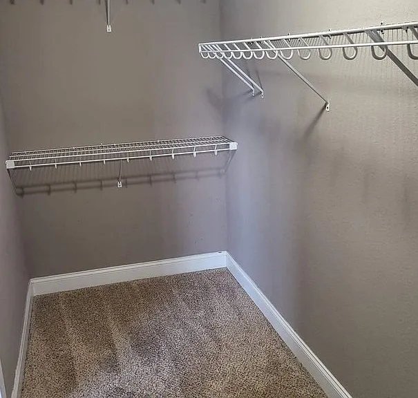 4309 Castle Pines Dr — Photo 10