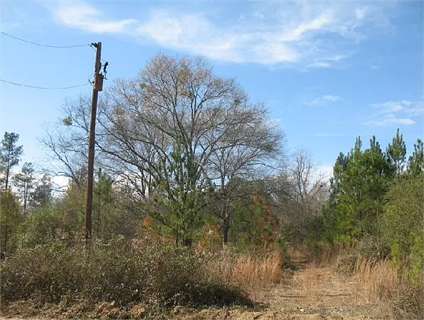 Barnes Ferry photo 1