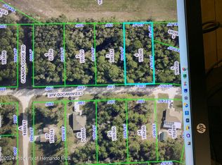 LOT 4 Cedarwood Ave, Brooksville, FL 34614