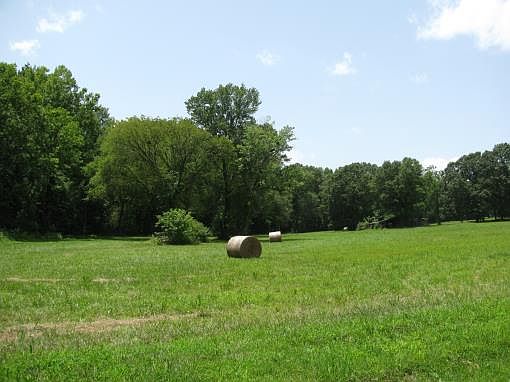 3rd image of 810 Cobblestone Dr