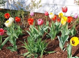 45 Perkins St, Springfield, MA 01118