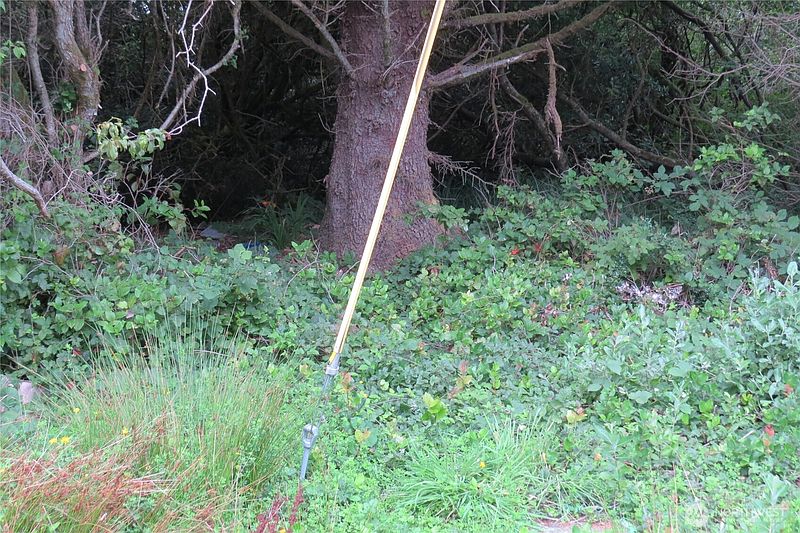 2nd image of 166 N Port Loop