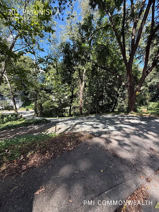 301 Paton St — Photo 2