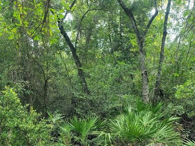 0 Sioux Trl #1, Crawfordville, FL, 32327