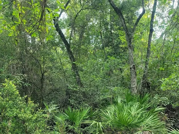 0 Sioux Trl #1, Crawfordville, FL 32327