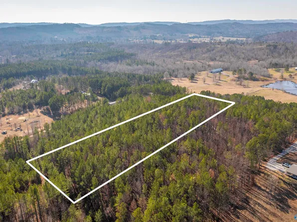 3.54 Tom Cat Rd, Gadsden, AL 35903