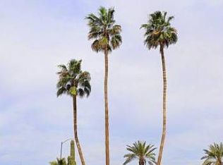 10011 N Balboa Dr, Sun City, AZ 85351