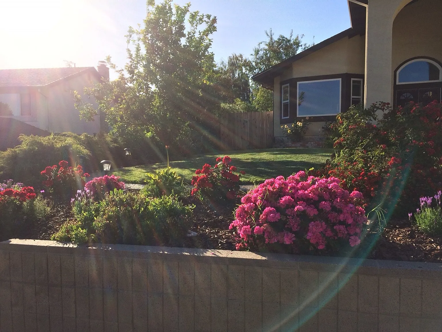 25617 W Camino Vis photo 1