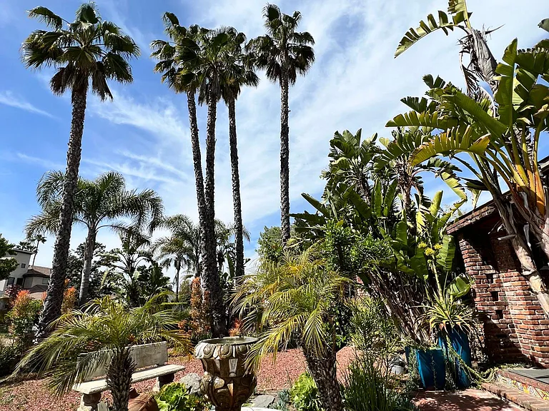 Front yard