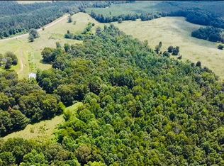 12501 State Highway 253, Brilliant, AL 35548