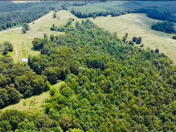 12501 State Highway 253, Brilliant, AL 35548