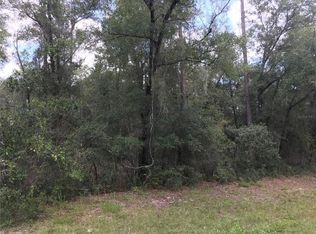 525 W G Martinelli Blvd, Citrus Springs, FL 34434