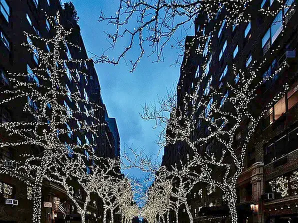 220 East 73rd Street 9E image 9 of 10