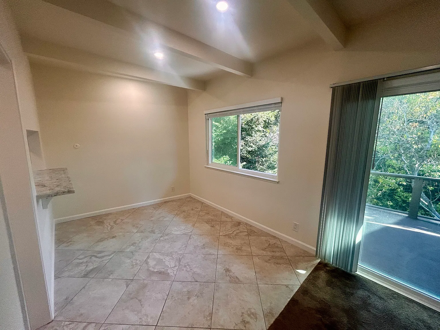 2 bed, 1004 sqft, $3,650 — Photo 4