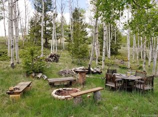 810 Stacker Dr, Hartsel, CO 80449
