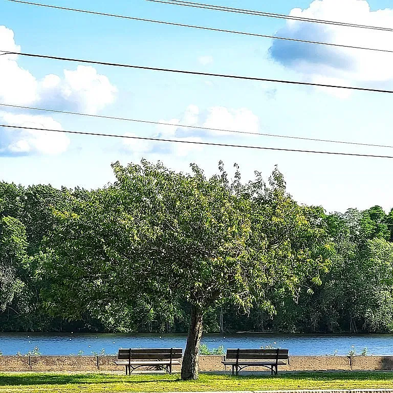 2 bed, 755 sqft, $1,995 — Photo 4