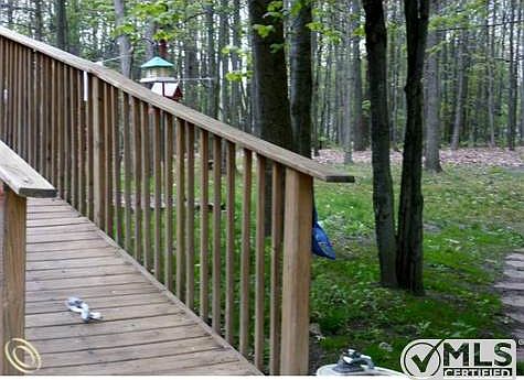 great view into the woods