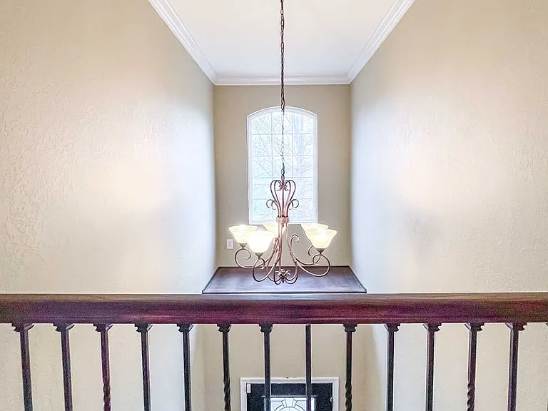 10309 Red Water Ln — Photo 15