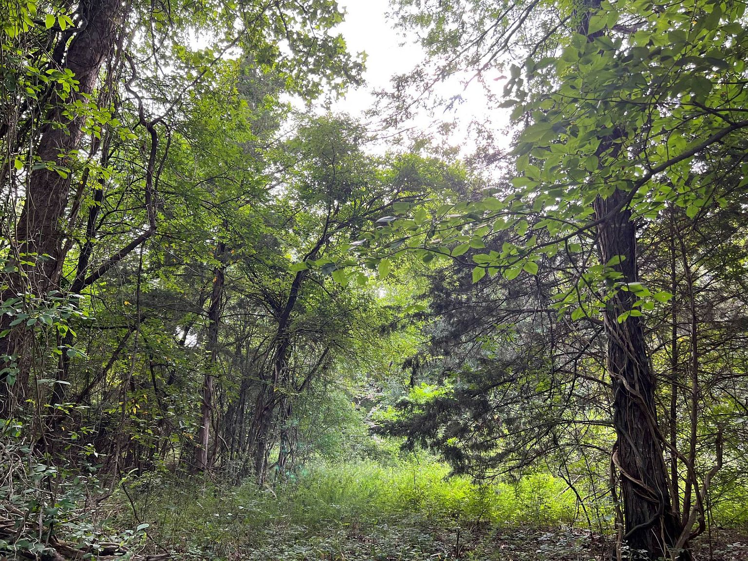 9425 S Eli Rd, Coleman, OK 73432 MLS 11193393 Zillow