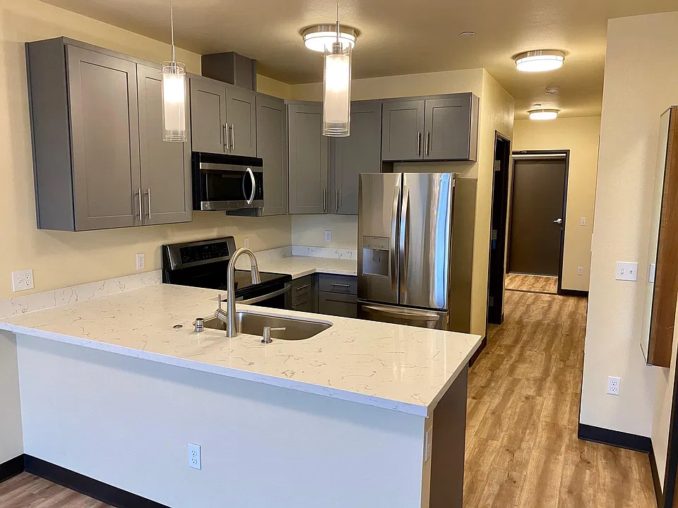 Kitchen, stainless steel high end LG appliances, Kohler sink etc