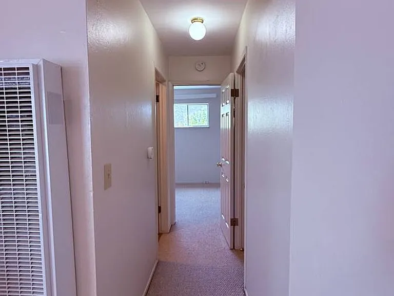 K11 — Photo 9